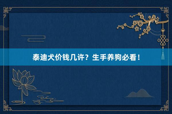 泰迪犬价钱几许?生手养狗必看!